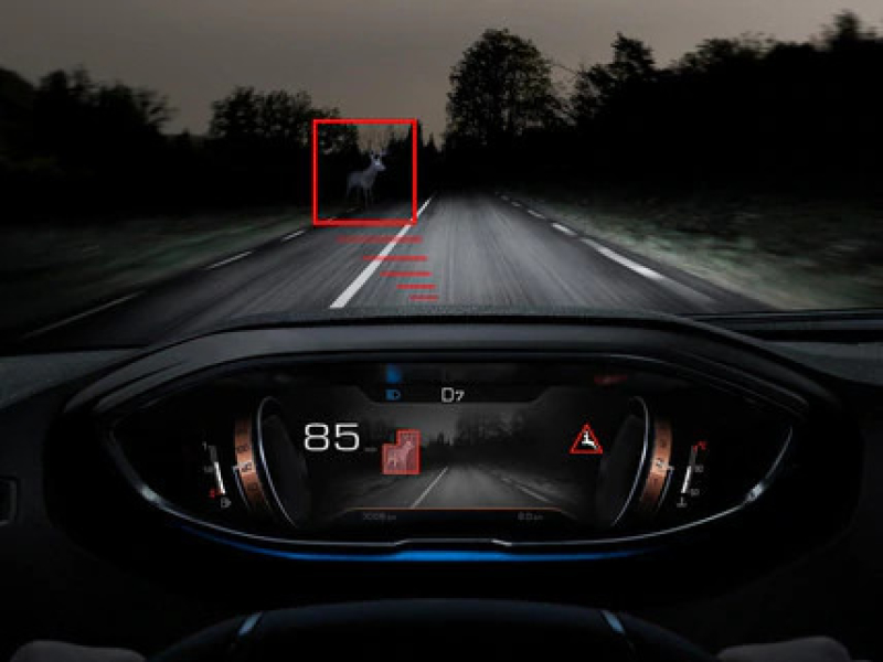 Night Vision